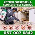 ✅✅ KITCHEN COCKROACH & COMPLETE PEST CONTROL – AL FAISALIAH EAST DAMMAM – 057 007 6842 ✅✅