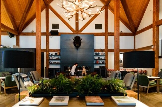 Calgary, Household, Looking For Fine Dining In Banff? Explore Premium Culinary Experiences