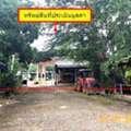 THB 11277000,  6 BR,  5591 Sq. Feet,  Warehouse For Sale, Si Satchanalai-Den Chai Road, Phrae, Den Chai, Phrae.