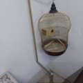 SAR 150,  Golden Bird Cage With Stand, Cat Litter Box For Sale