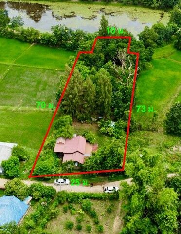 Bangkok, Real Estate For Sale, THB 1960000,  6 BR,  481 Sq. Feet,  Garden House For Sale In Muang Ubon Ratchathani, 1 Rai 81.1 Sq M, Land With Buildings, 1