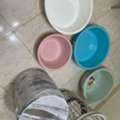 SAR 1,  Final Exit-household Items
