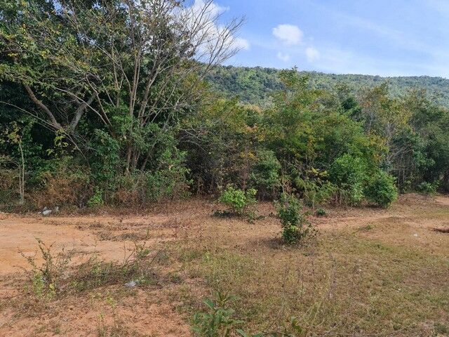 Bangkok, Real Estate For Sale, THB 280000,  6 BR,  49873 Sq. Feet,  Look Ahead And Aim To Buy Storage Like You Would Buy Gold. Beautiful Land For Sale Next