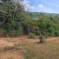 THB 280000,  6 BR,  49873 Sq. Feet,  Look Ahead And Aim To Buy Storage Like You Would Buy Gold. Beautiful Land For Sale Next