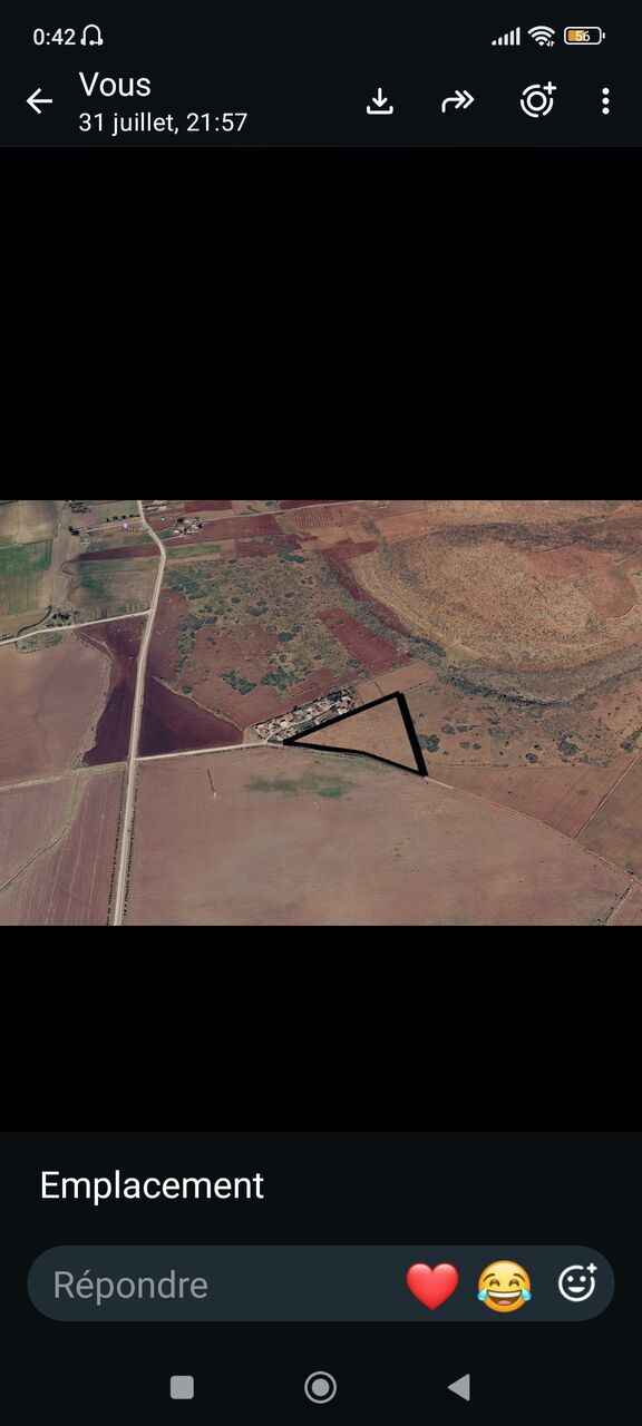 Casablanca, Farm & Garden, MAD 850000,  TERRAIN AGRICOLE TITRÉ DE 2 HA