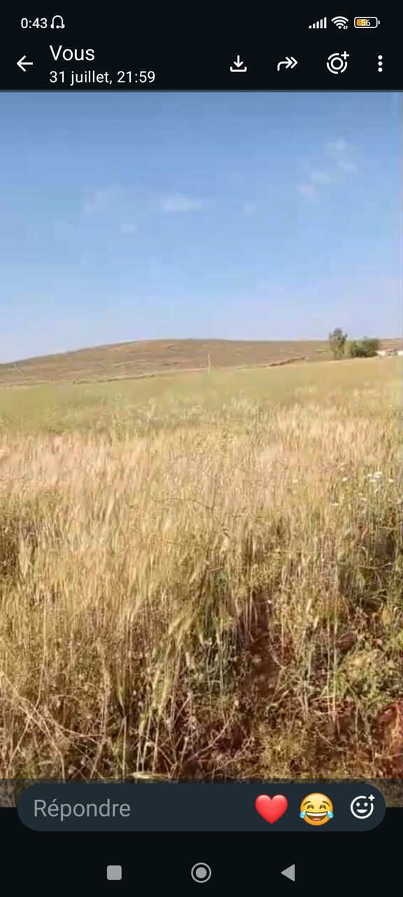 Casablanca, Farm & Garden, MAD 850000,  TERRAIN AGRICOLE TITRÉ DE 2 HA