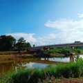 THB 500000,  6 BR,  405 Sq. Feet,  Look Ahead And Aim To Buy Storage Like You Would Buy Gold. For Rent Next To The Nan