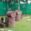 Best Corporate Outing Activities In Bangalore: Turn Team Time Into Adventure