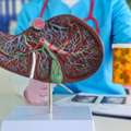 Liver Cirrhosis Treatment In Jaipur | Cirrhosis Liver Transplant Surgery In Jaipur
