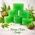 Herbal Soap Suppliers In Gujarat &ndash; Bulk Buying Benefits