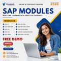 Join SAP Modules Training And Learn In-Demand Skills