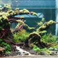 Complete Animal Habitat & Pet Care Solutions In Bangalore