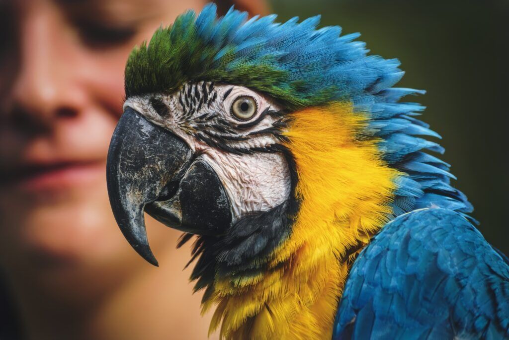 Bangalore, Pet Sitting, Complete Animal Habitat & Pet Care Solutions In Bangalore