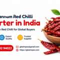 Guntur Sannam Red Chilli Exporter In India &ndash; Bulk B2B Supply
