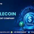 Turn Digital Currency Ideas Into Real-World Payment Solutions With Stablecoin Development