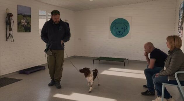 London, Pet Sitting, Professional Reactive Dog Training In Wirral Area
