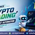 Modernize Crypto Trading With Intelligent Automation From A Crypto Trading Bot Development