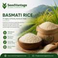 Basmati Rice Manufacturers For Bulk And Export Supply