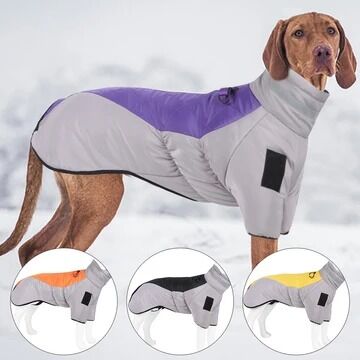 Lisbon, Pet Supplies, EUR 13,  Fancy Dog Cloth By PetsDzign For Stylish Pet Comfort