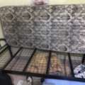 SAR 100,  Bed And Mattress