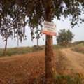 THB 160000,  6 BR,  41381 Sq. Feet,  Look Ahead And Aim To Buy Storage Like You Would Buy Gold. Land Title Deed For Sale In