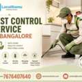 Get Rid Of Pests With LocalRamu Pest Control Service In Bangalore