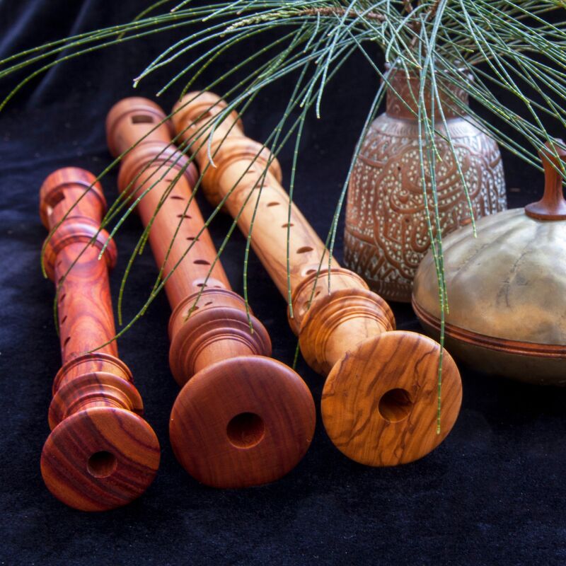 Sydney, Musical Instruments, Build Strong Musical Skills With Recorder Tutors For Every Learning Stage