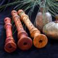 Build Strong Musical Skills With Recorder Tutors For Every Learning Stage