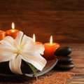 Professional Massage Therapist
