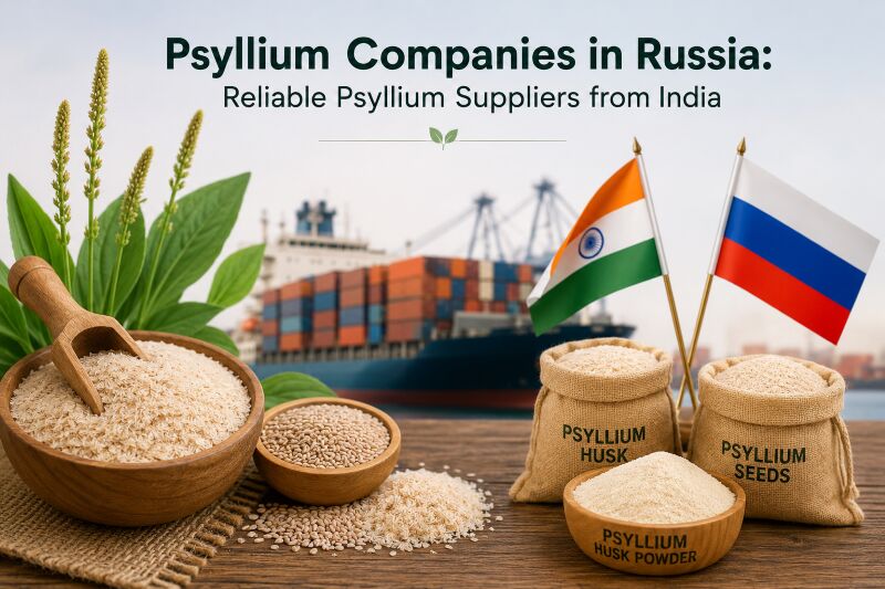 Ahmedabad, Food, INR 1,  Psyllium Companies In Russia: Reliable Psyllium Suppliers From India