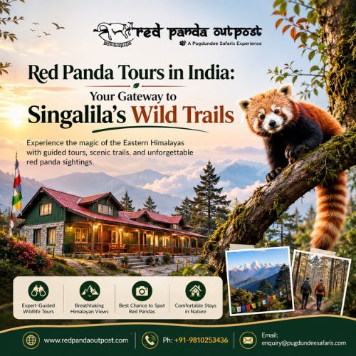 Gurgaon, Travel, Red Panda Tours In India: Your Gateway To Singalila&rsquo;s Wild Trails
