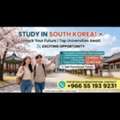 Study In Korea (engineering Accounts And Finance)