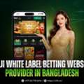 Launch A Baji Betting Website In Bangladesh