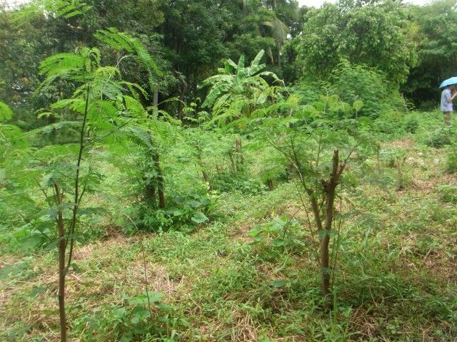Bangkok, Real Estate For Sale, THB 4700000,  6 BR,  121 Sq. Feet,  Land For Sale, None, Nonthaburi Province, Bang Kruai District, 121 Sq M, Location Near