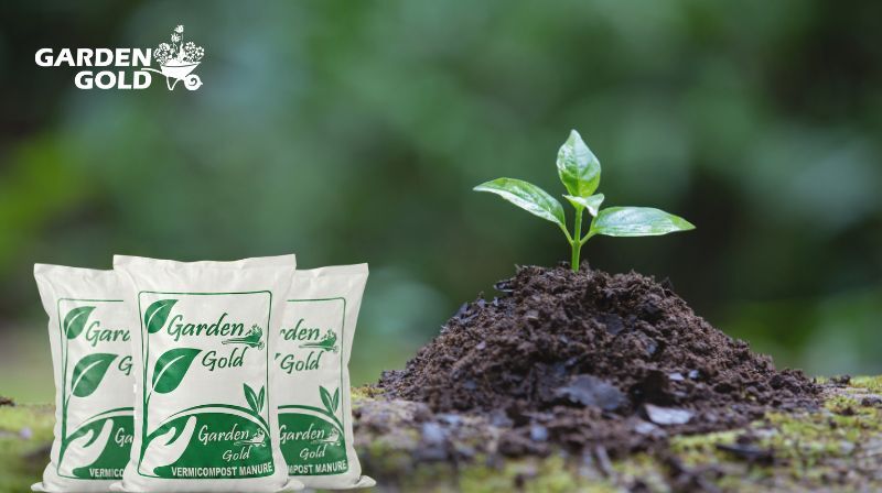 Mumbai, Farm & Garden, INR 300,  Process Of Vermicompost: Step-by-Step Guide For Organic Composting