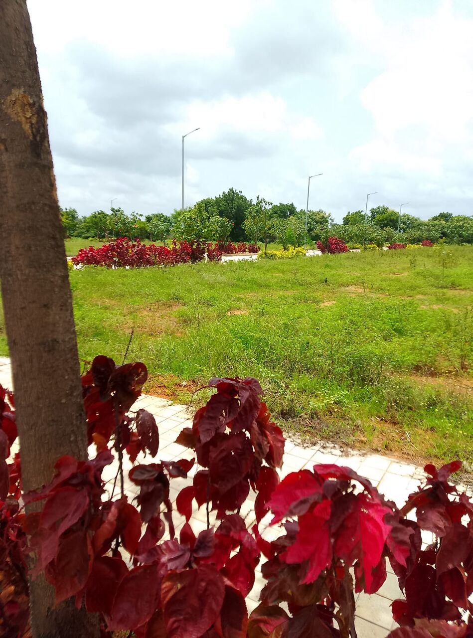 Hyderabad, Residential Plots, INR 22000,  242 Sq. Yard,  HMDA & RERA  APPROVED Open Plots For Sale @ Maheshwaram