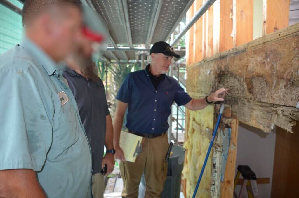 New York, Pest Control, Termite Old House Borer Consultant For Property Damage