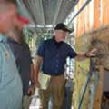 Termite Old House Borer Consultant For Property Damage