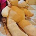 Big Bear For Sale
