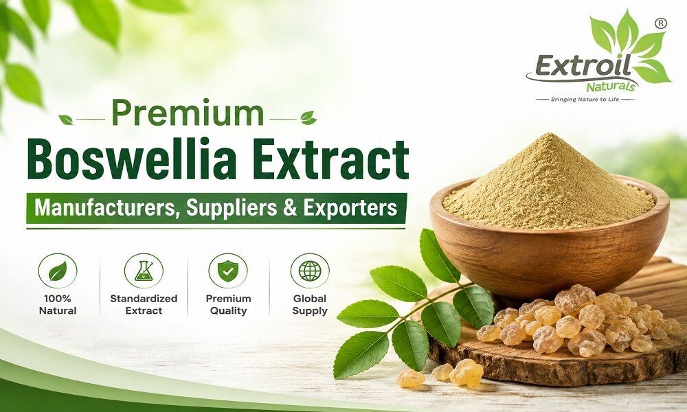 Ahmedabad, Health & Beauty Items, Premium Boswellia Extract Manufacturers, Suppliers & Exporters