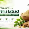 Premium Boswellia Extract Manufacturers, Suppliers & Exporters
