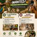 Animal Keeper Wanted مطلوب عامل تربية حيوانات