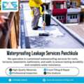 Waterproofing Leakage Services Panchkula