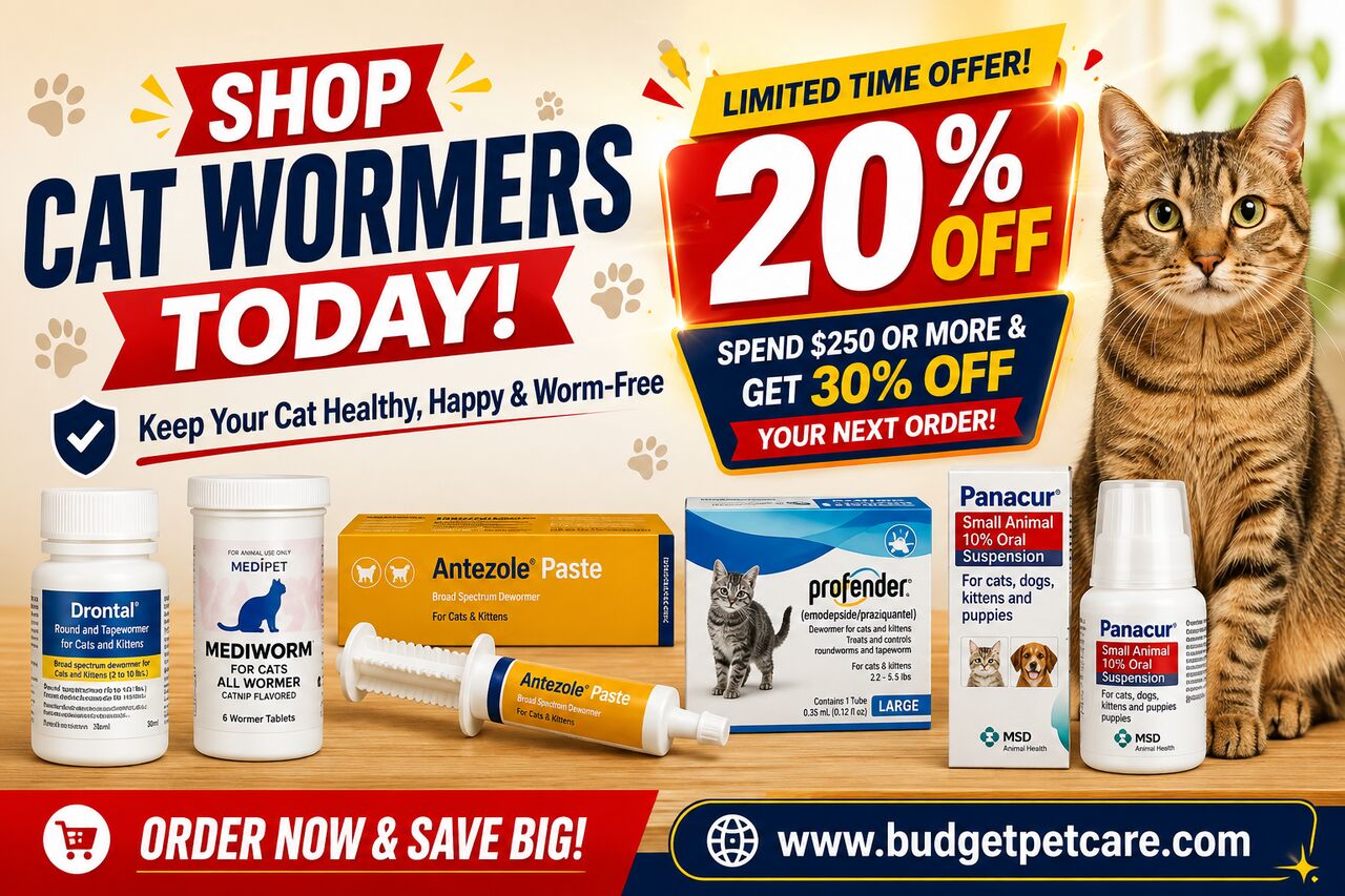 New York, Pet Supplies, Shop Cat Wormers Today - Get 20% Off