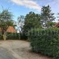 THB 8500000,  6 BR,  1829 Sq. Feet,  Reduced Price Of Land With Resort, 4 Rai 2 Ngan 29 Square Wah, Nong Ya Sai, Suphanburi