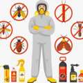 @172PEST CONTROL♥️SPRAYS♥️And BED BUGS♥️Solution With Guaranteed♥️0575282420