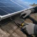 Protect Your Solar Panels With Expert Bird Protection