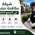 مكافحة الفئران في الجنينه في اقل من 24 ساعة