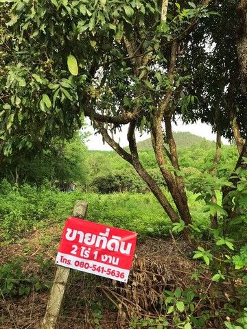 Bangkok, Real Estate For Sale, THB 1500,  6 BR,  1126 Sq. Feet,  Land For Sale, 2 Rai 3 Ngan, 1500 Per Square Wa, Ban Don Charoen, Doi Lan Subdistrict,