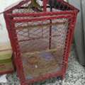 SAR 100,  Steel Bird Cage &ndash; 60&times;45&times;45 Cm